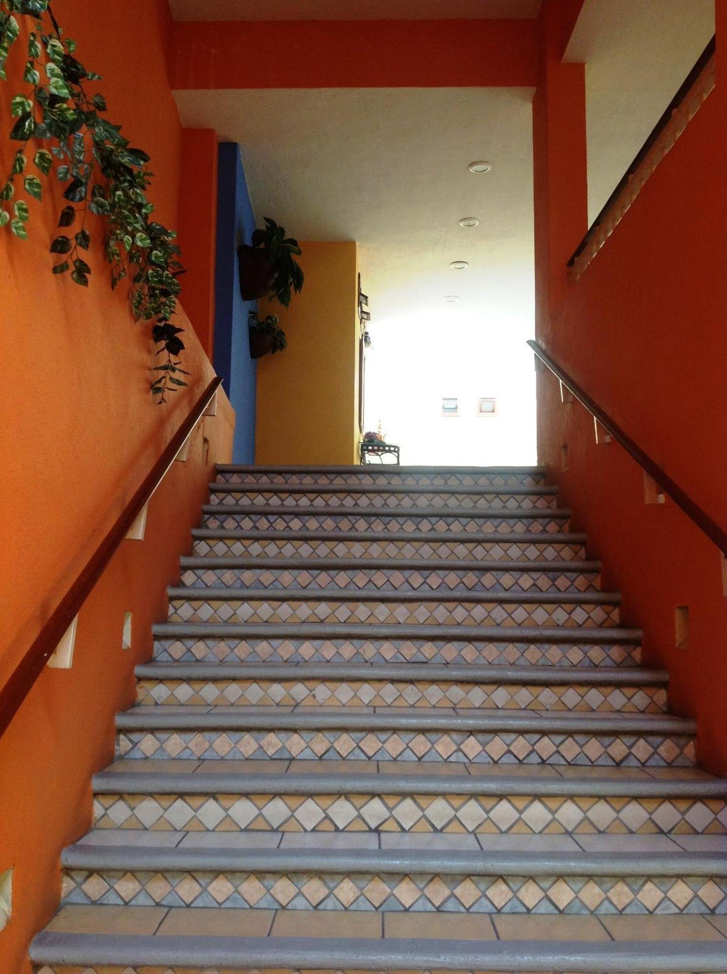 Plaza Jardin Hotel Tequila Bagian luar foto